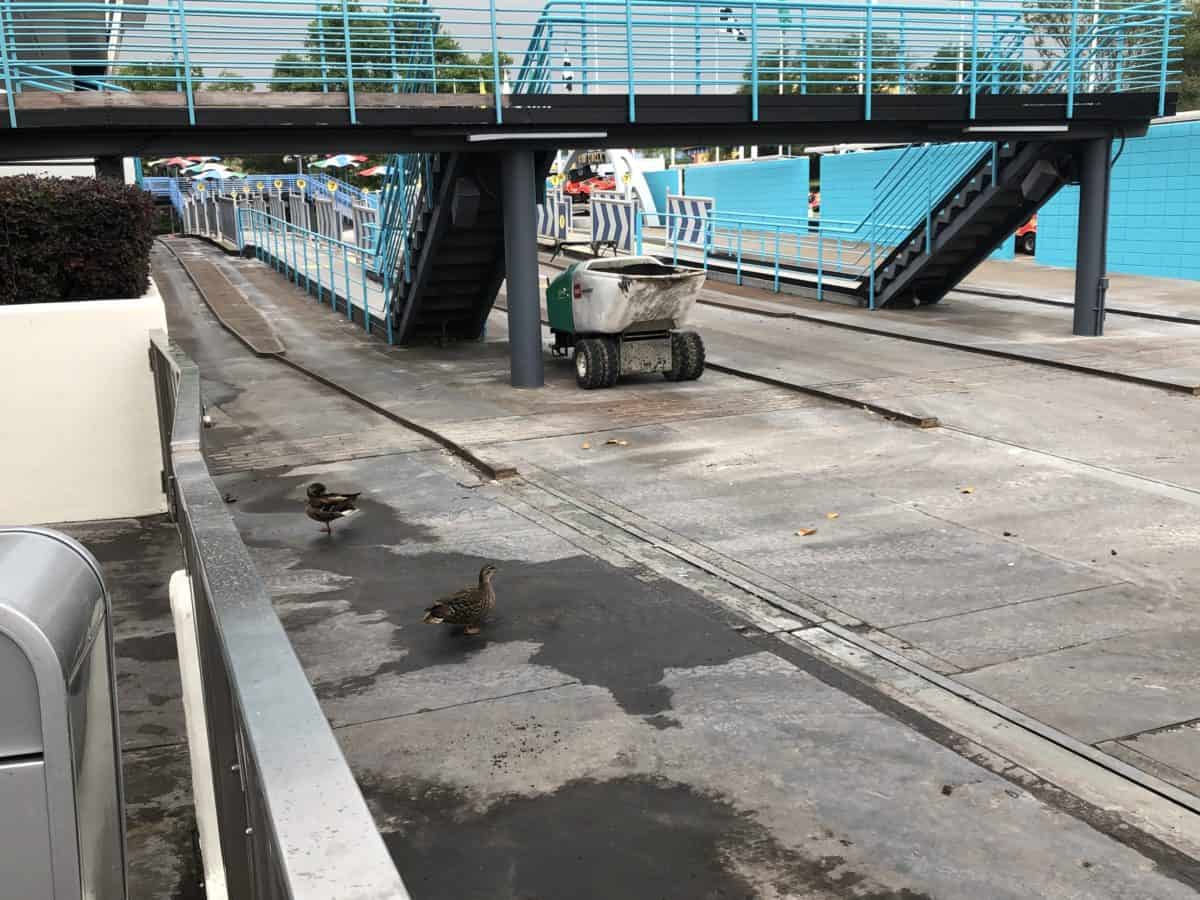 Tomorrowland speedway track 