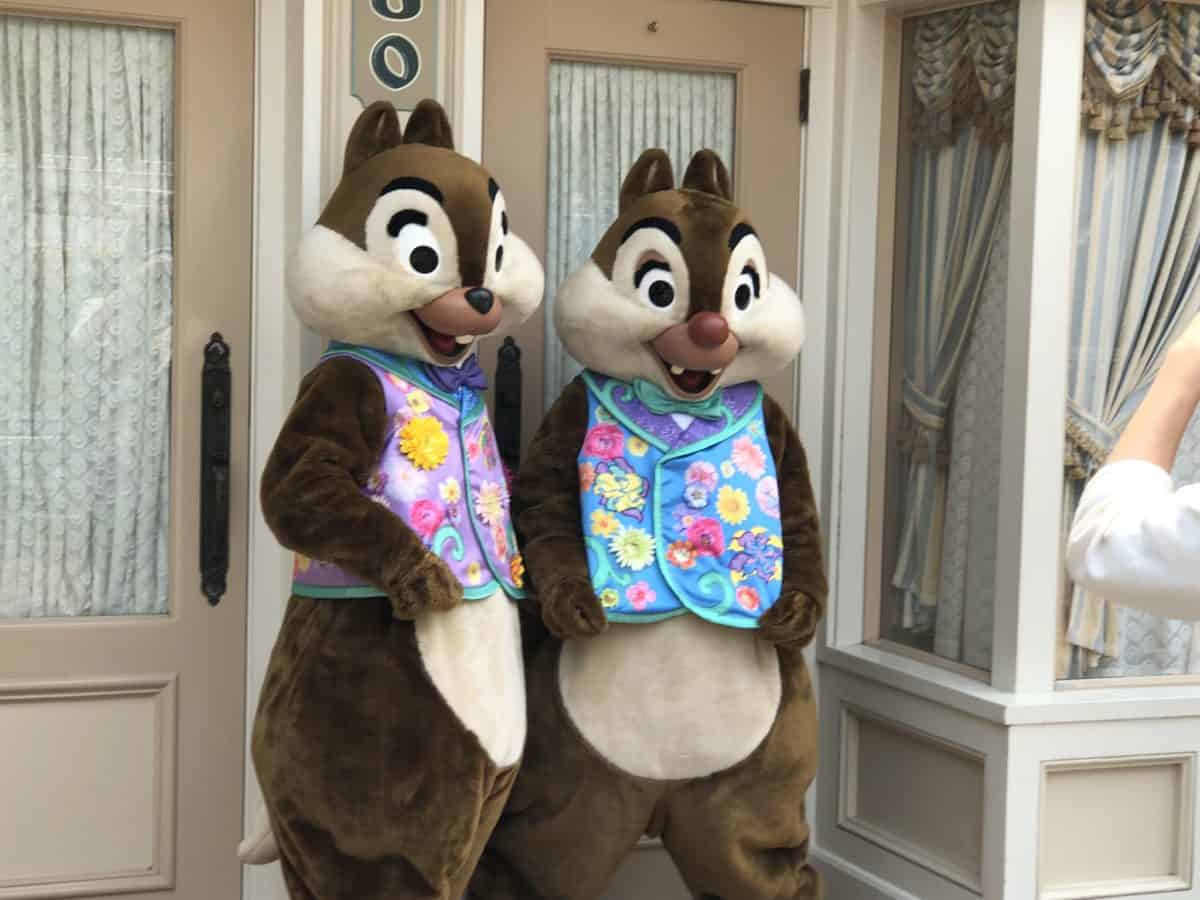 Hong Kong Disneyland Spring