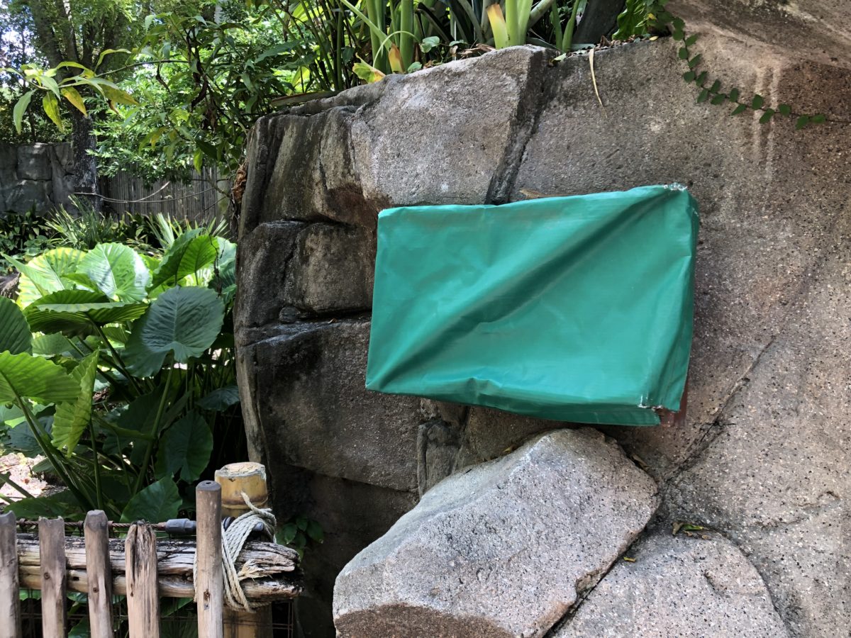 Animal kingdom photo report Sign