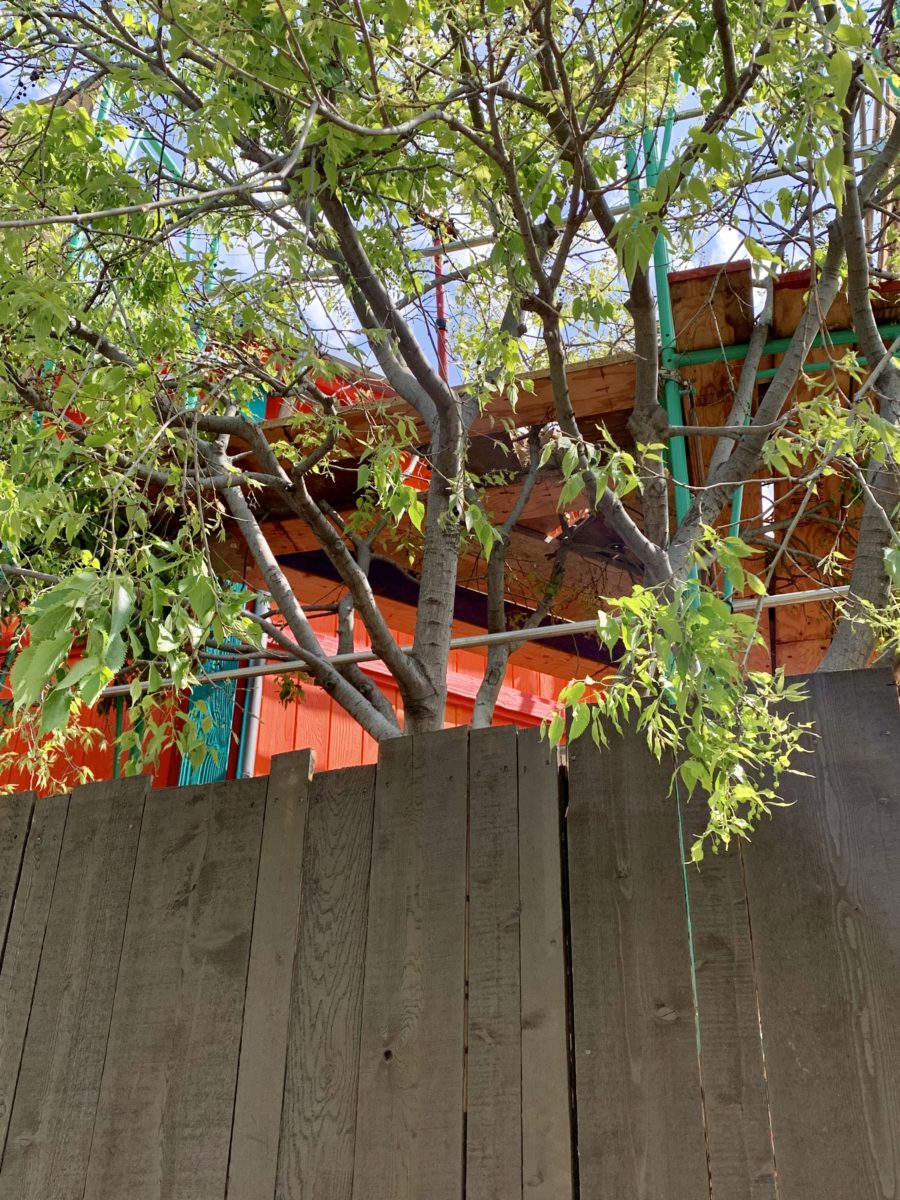 Disney California Adventure Photo Report April 20th