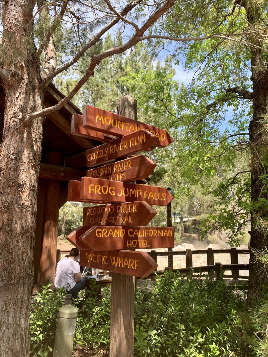 Disney California Adventure Updates