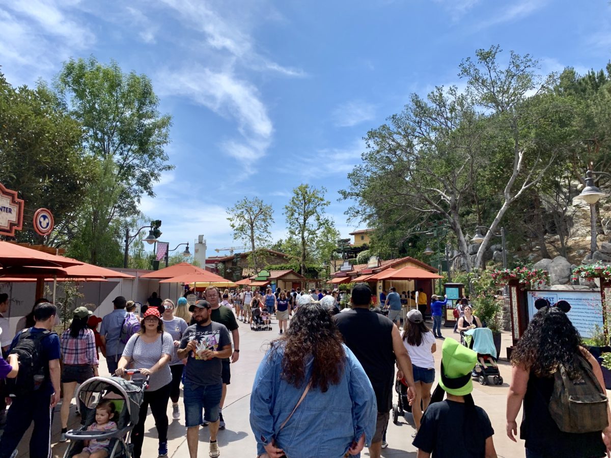 Disney California Adventure Updates