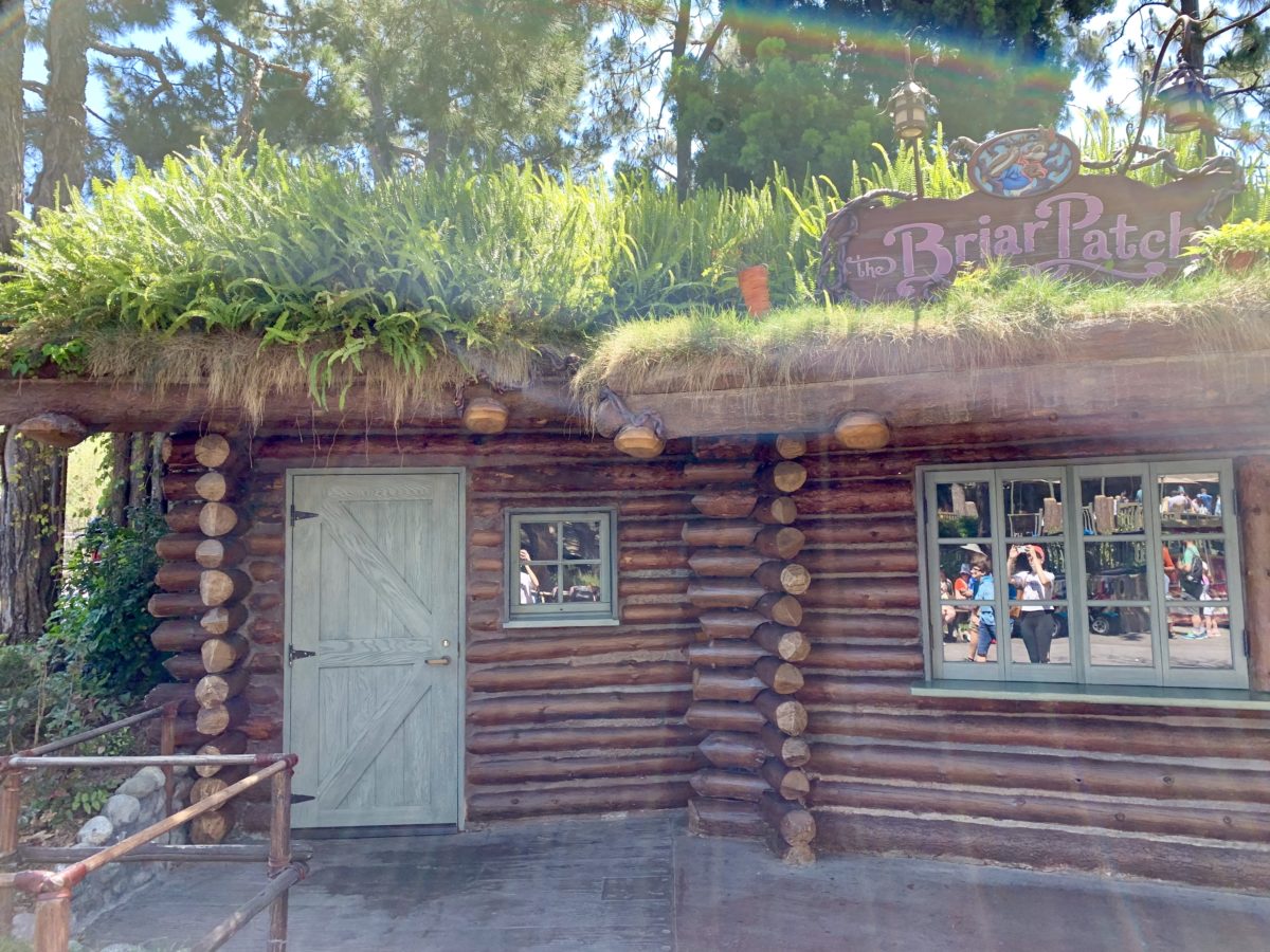 Disneyland Park Photo Report April 29 2019