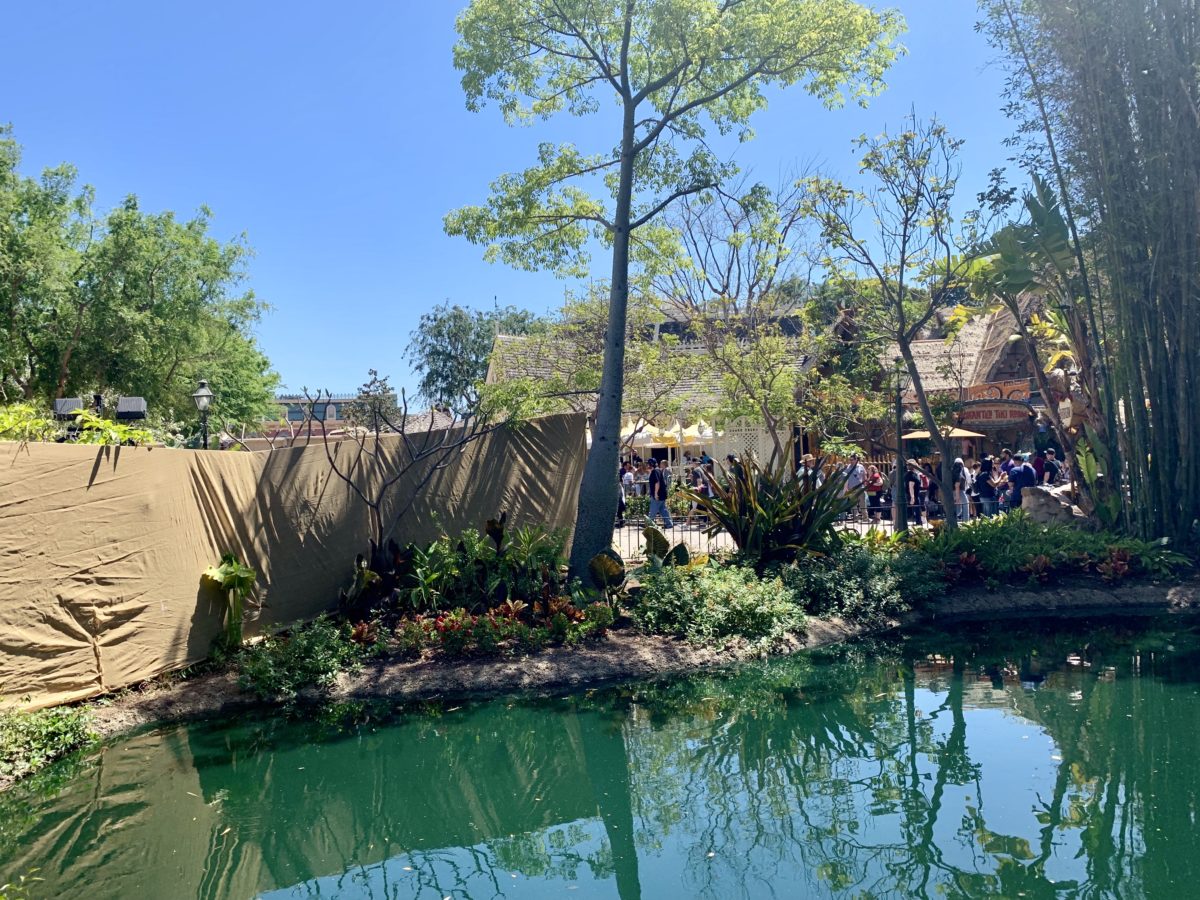 Disneyland Park Photo Report April 29 2019