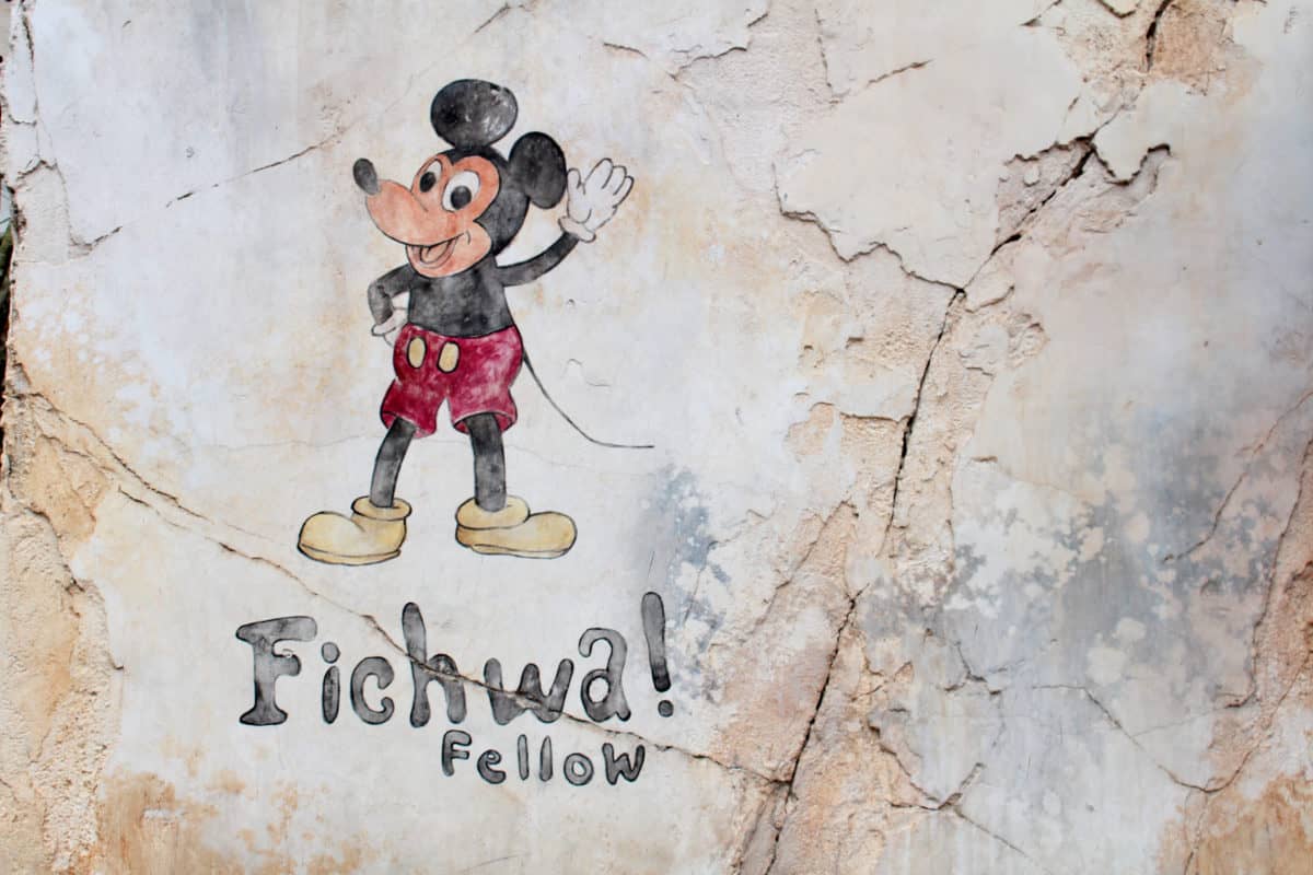 Disneys animal kingdom fichwa fellow