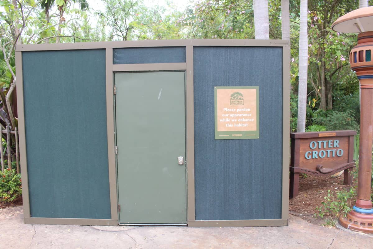 Disneys animal kingdom otter grotto