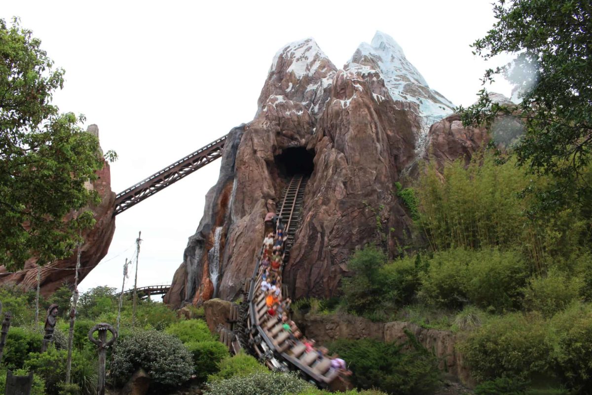 animal kingdom expedition Everest