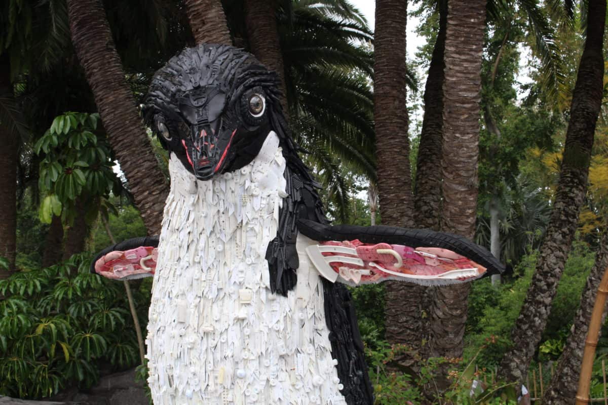 animal kingdom Disneynature penguin