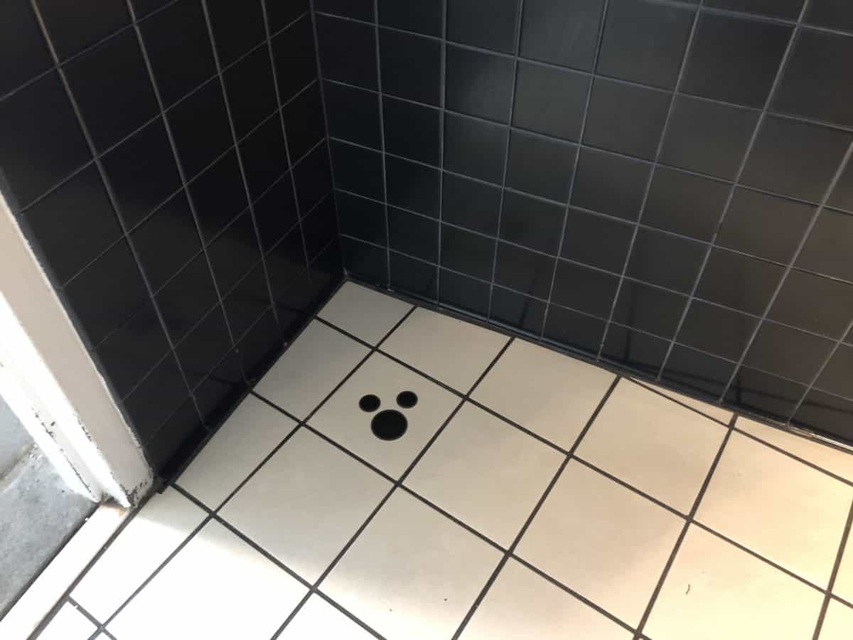 hidden Mickey in the bathroom floor at Cirque du Soleil