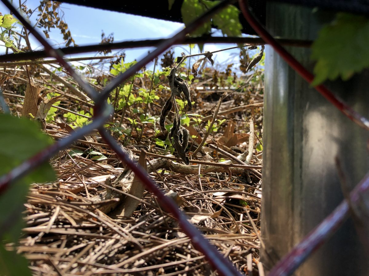 50858A38 806B 46E1 84EF CE84F82041B0