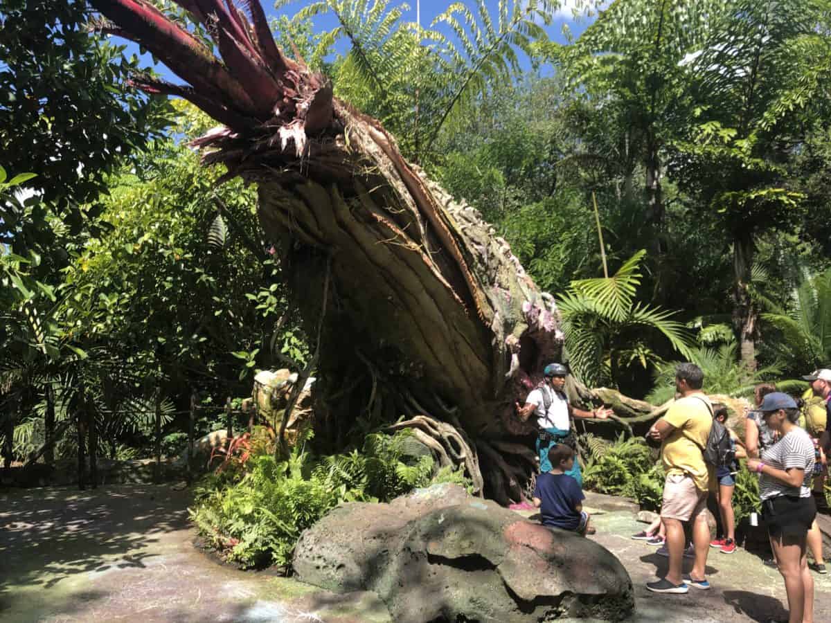 Flaska Reclinata with guests interacting