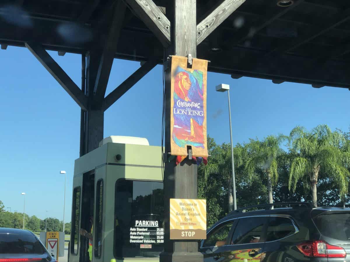 Celebrating the Lion Banner on the Animal Kingdom parking plaza