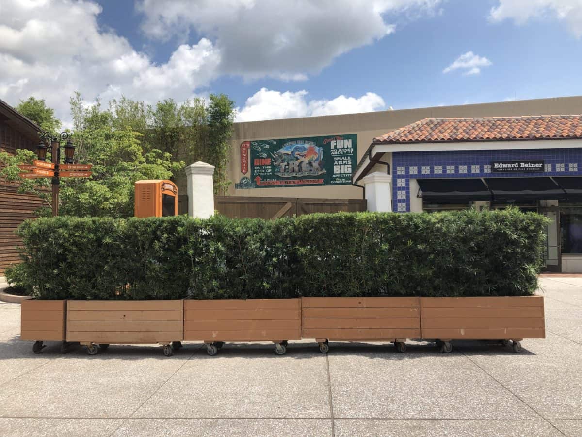 bushes in front of some work area at disney springs