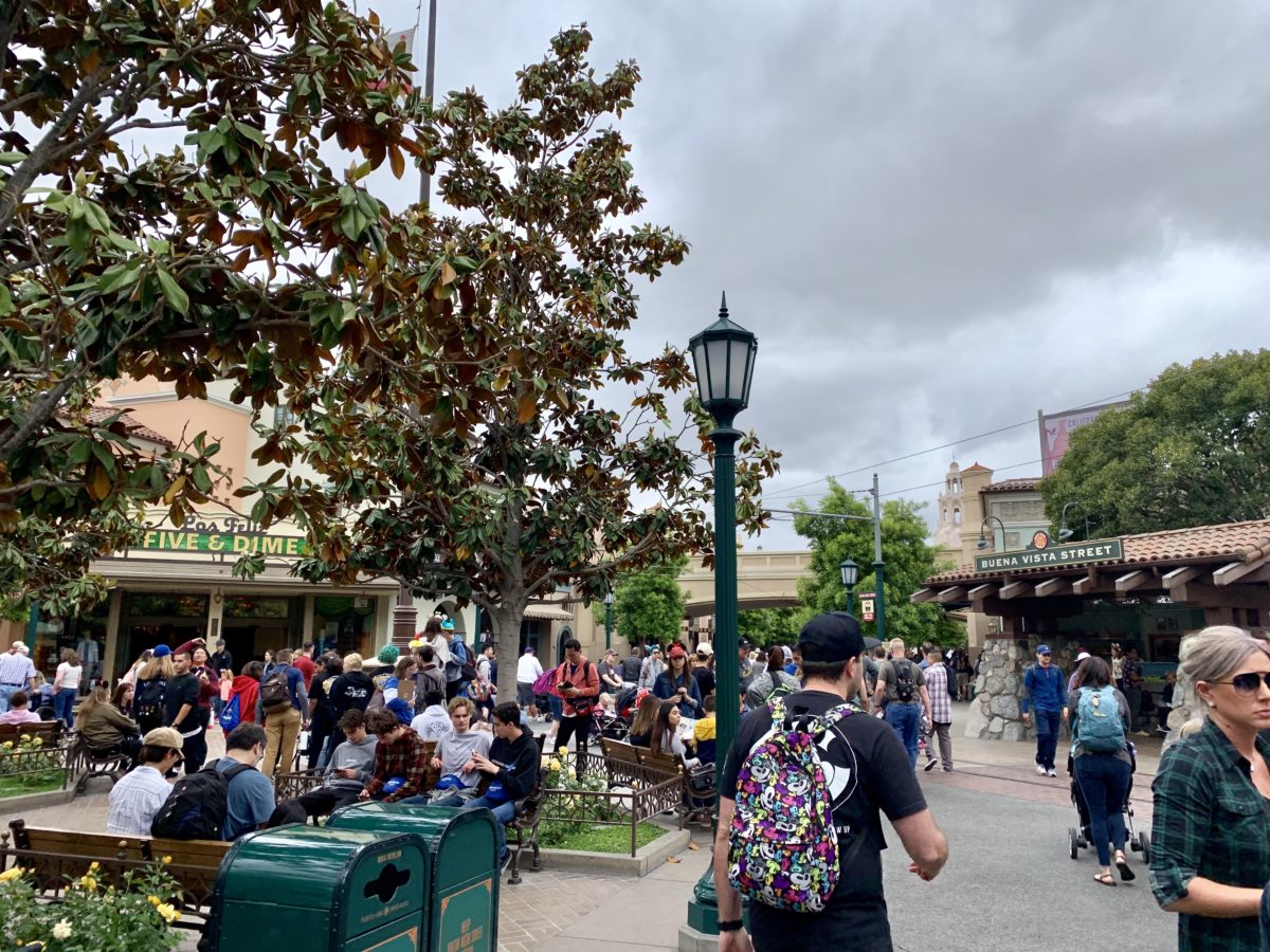 Disney California Adventure Photo Report May 7 2019