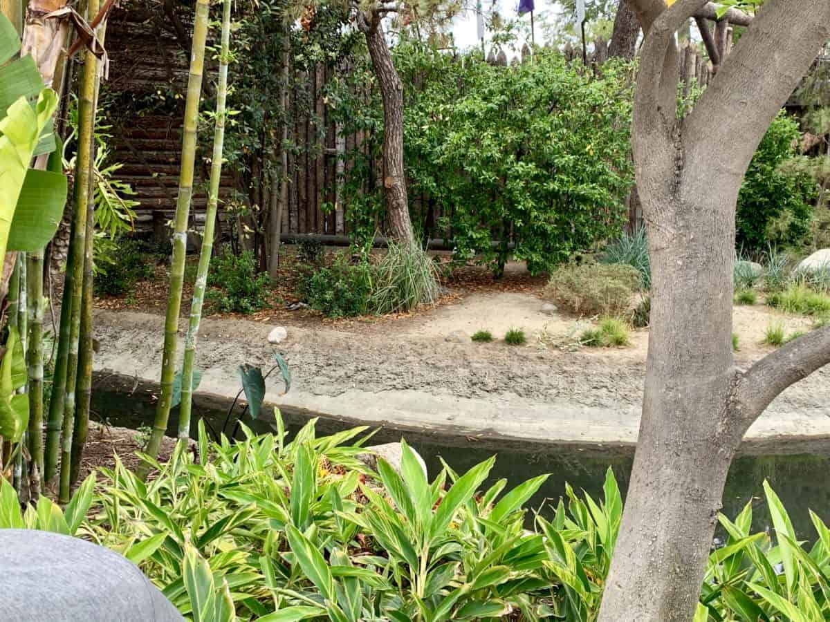 Disneyland Park Photo Report May 15 2019
