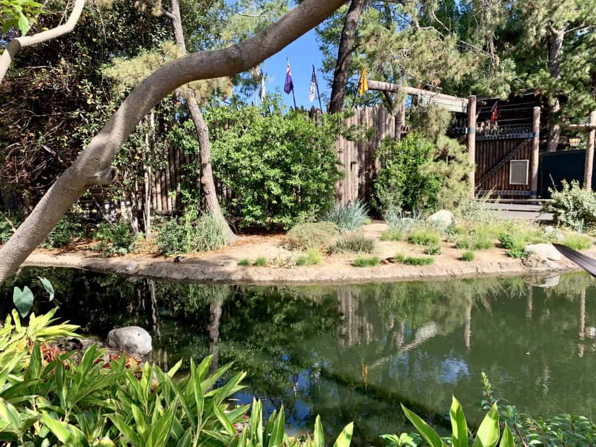 Disneyland Park Photo Report May 23 2019