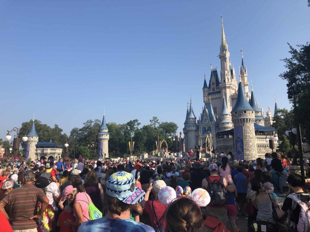 Crowds at Magic Kingdom