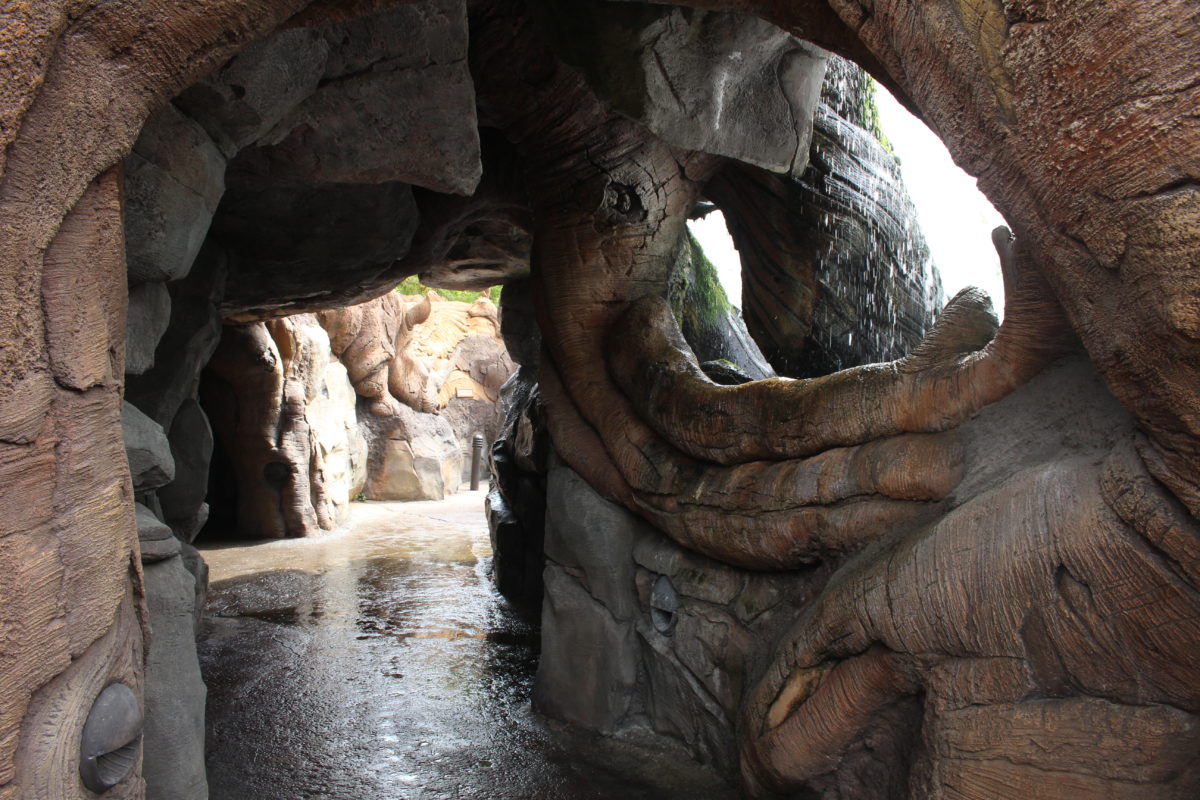 tree of life garden path