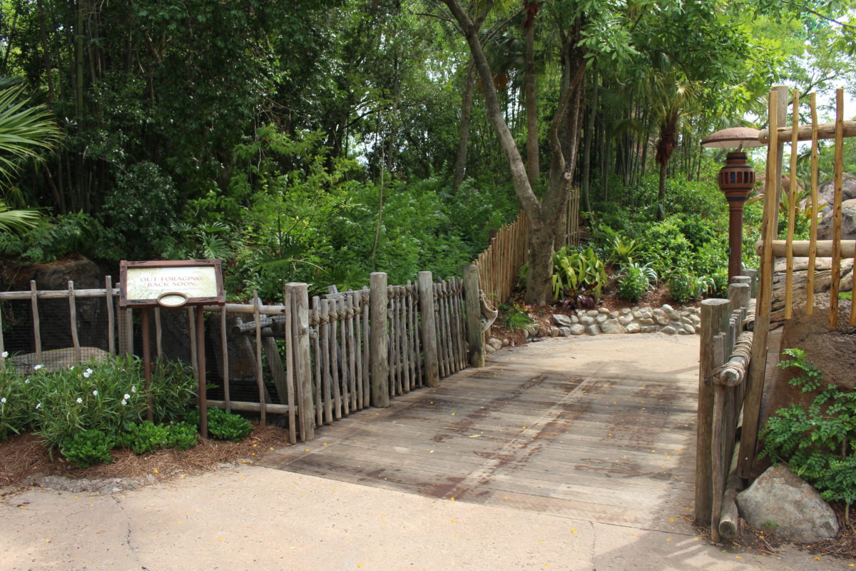 tree of life garden path