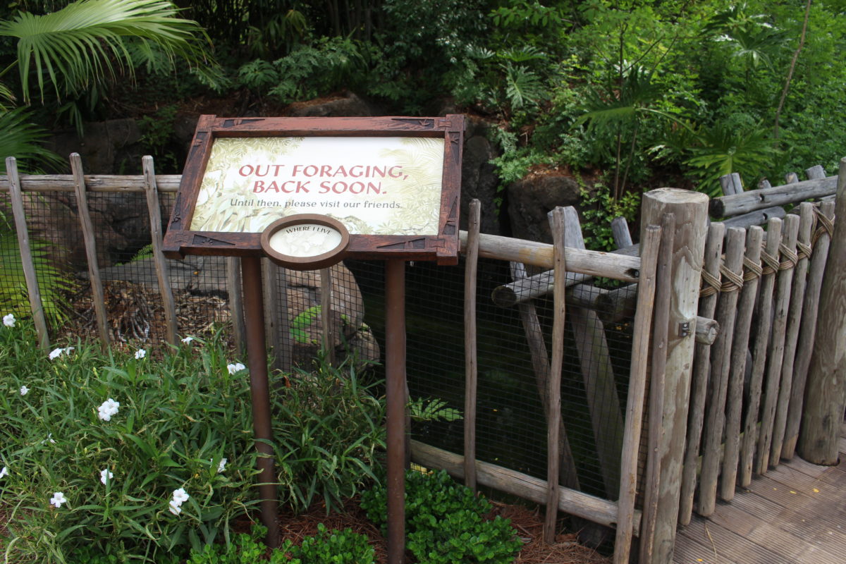 tree of life garden path