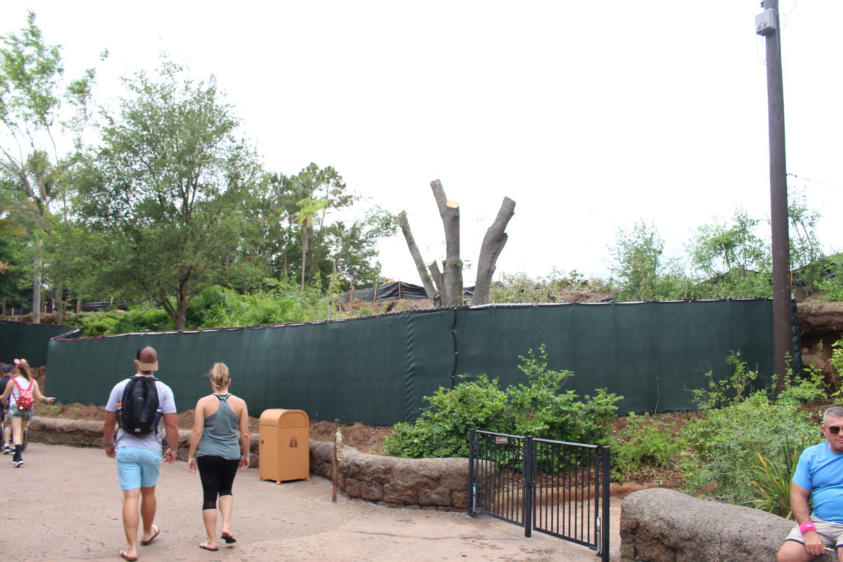 animal kingdom club 33