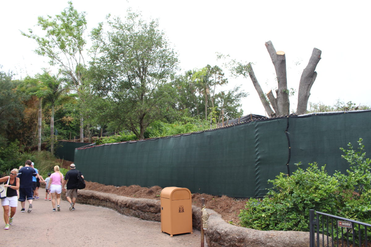 animal kingdom club 33