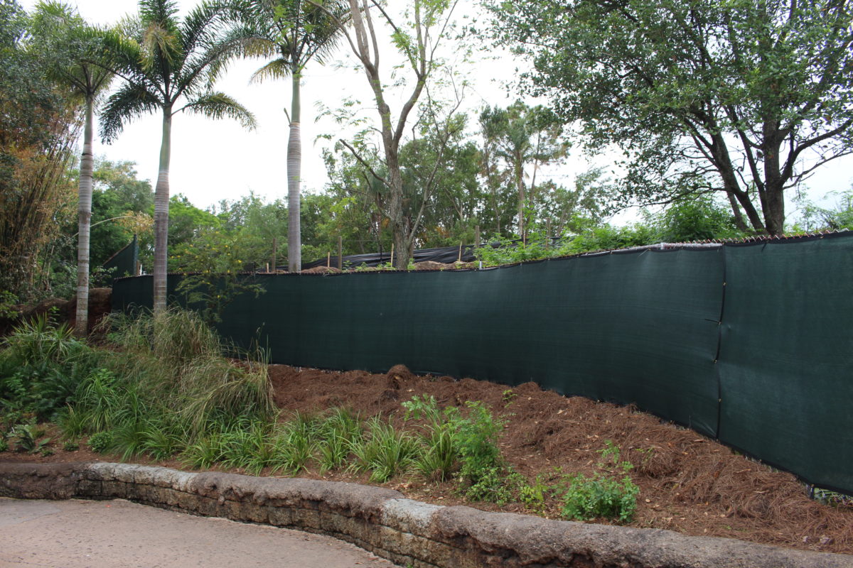 animal kingdom club 33