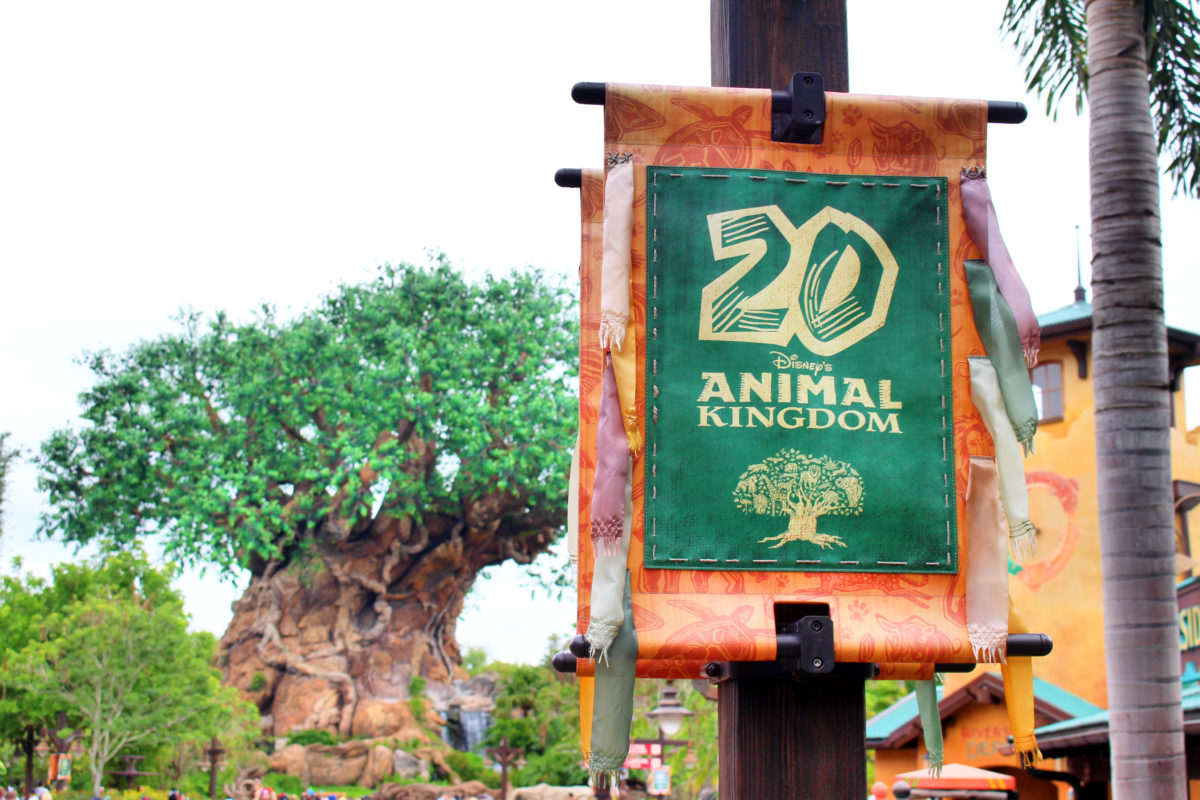 disneys animal kingdom