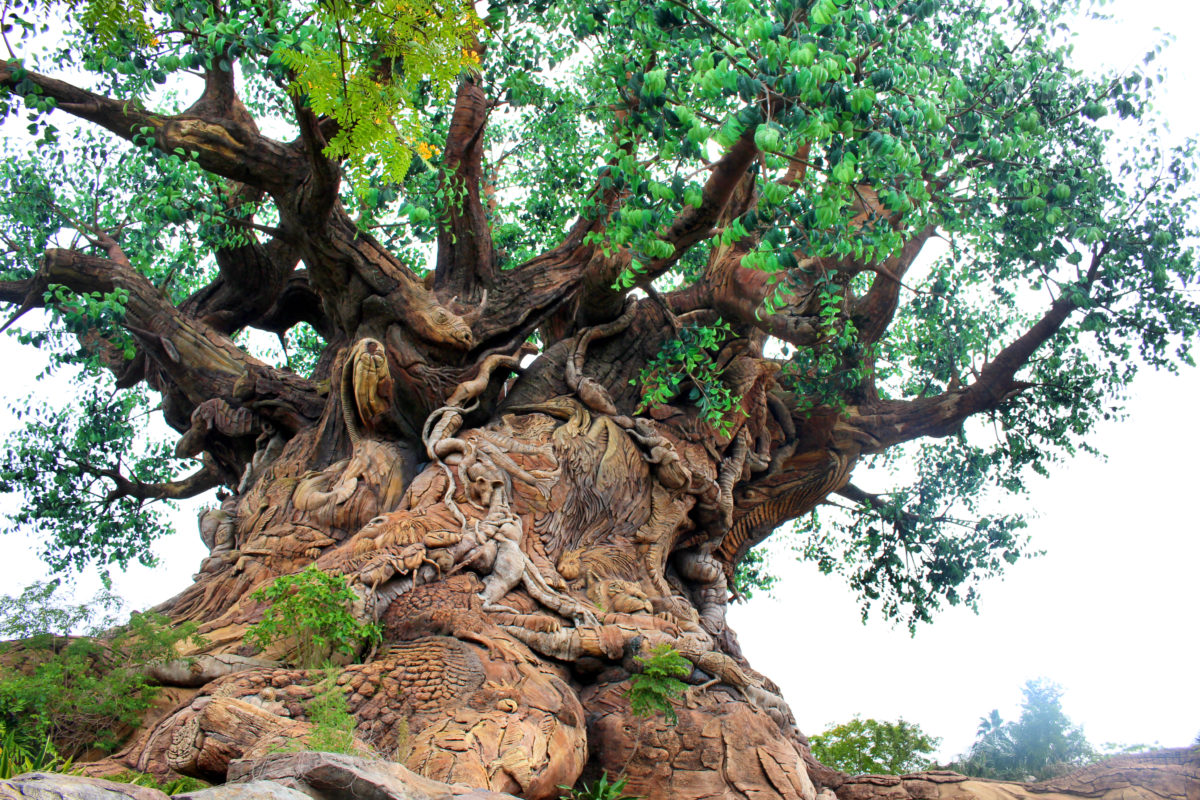 tree of life garden path