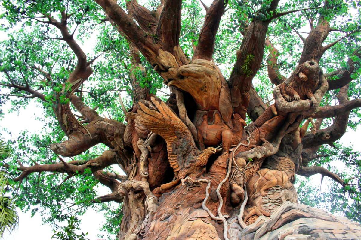 tree of life garden path