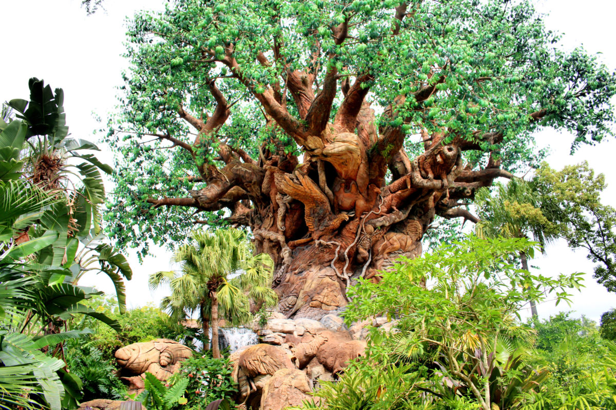 disneys animal kingdom tree of life