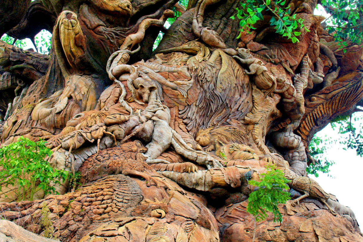 tree of life garden path