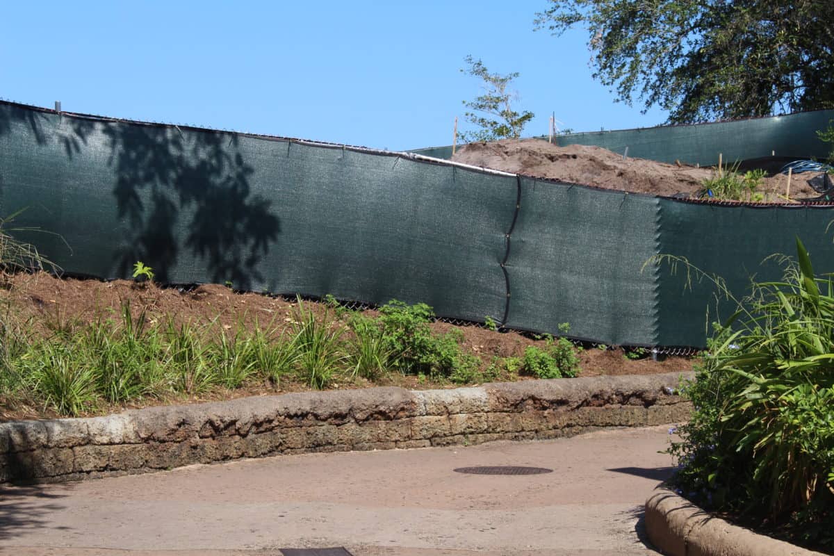 animal kingdom club 33