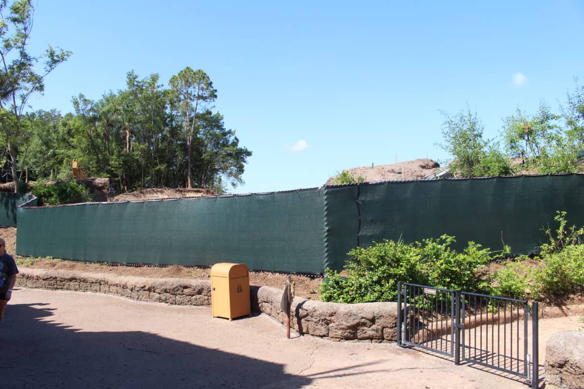 animal kingdom club 33