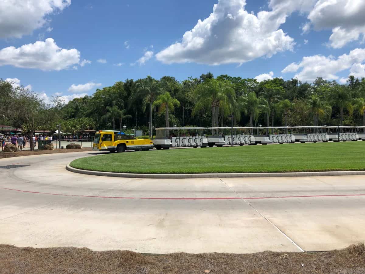 animal kingdom tram loop construction entrance