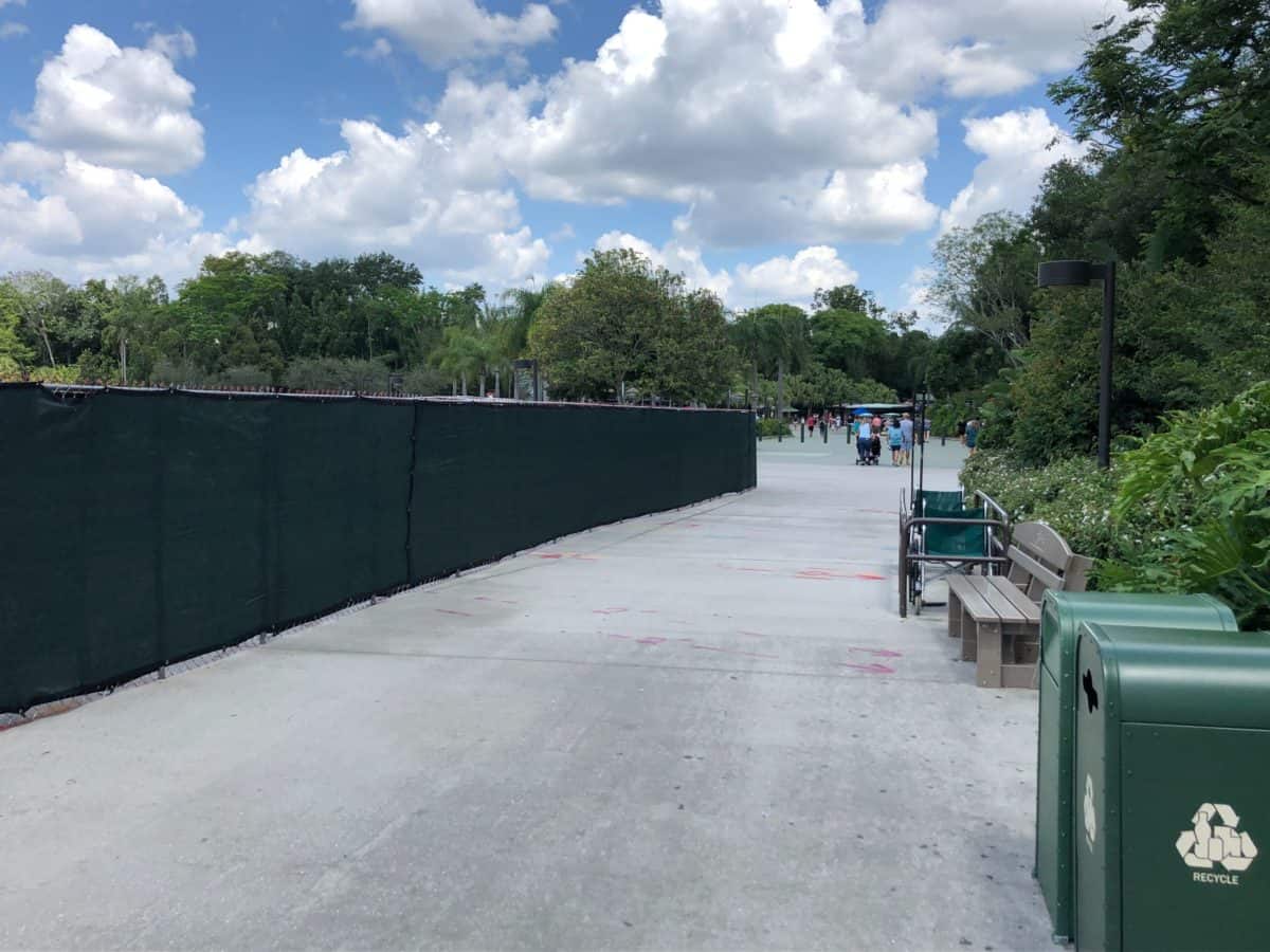 animal kingdom tram loop construction entrance