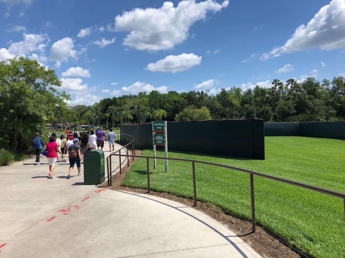 animal kingdom tram loop construction entrance