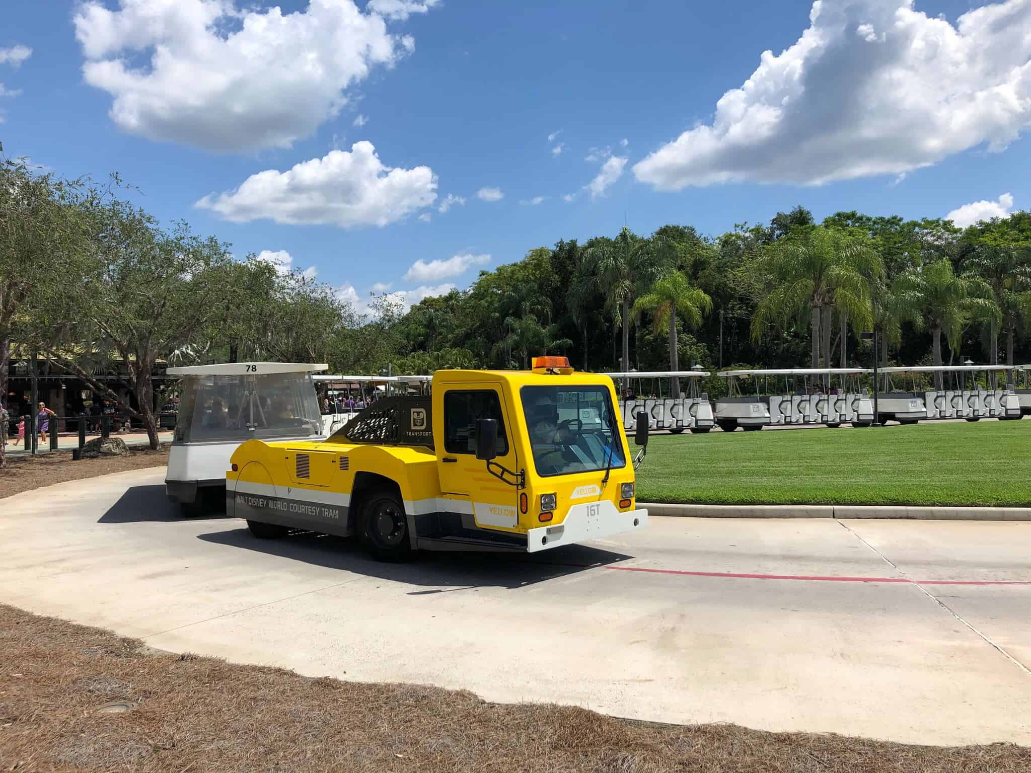 animal kingdom tram loop construction entrance