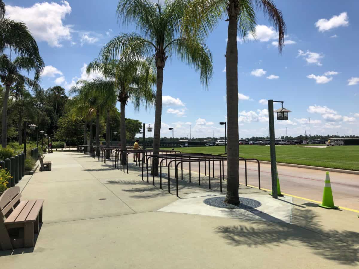 animal kingdom tram loop construction entrance