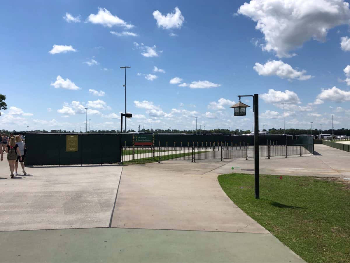 animal kingdom tram loop construction entrance