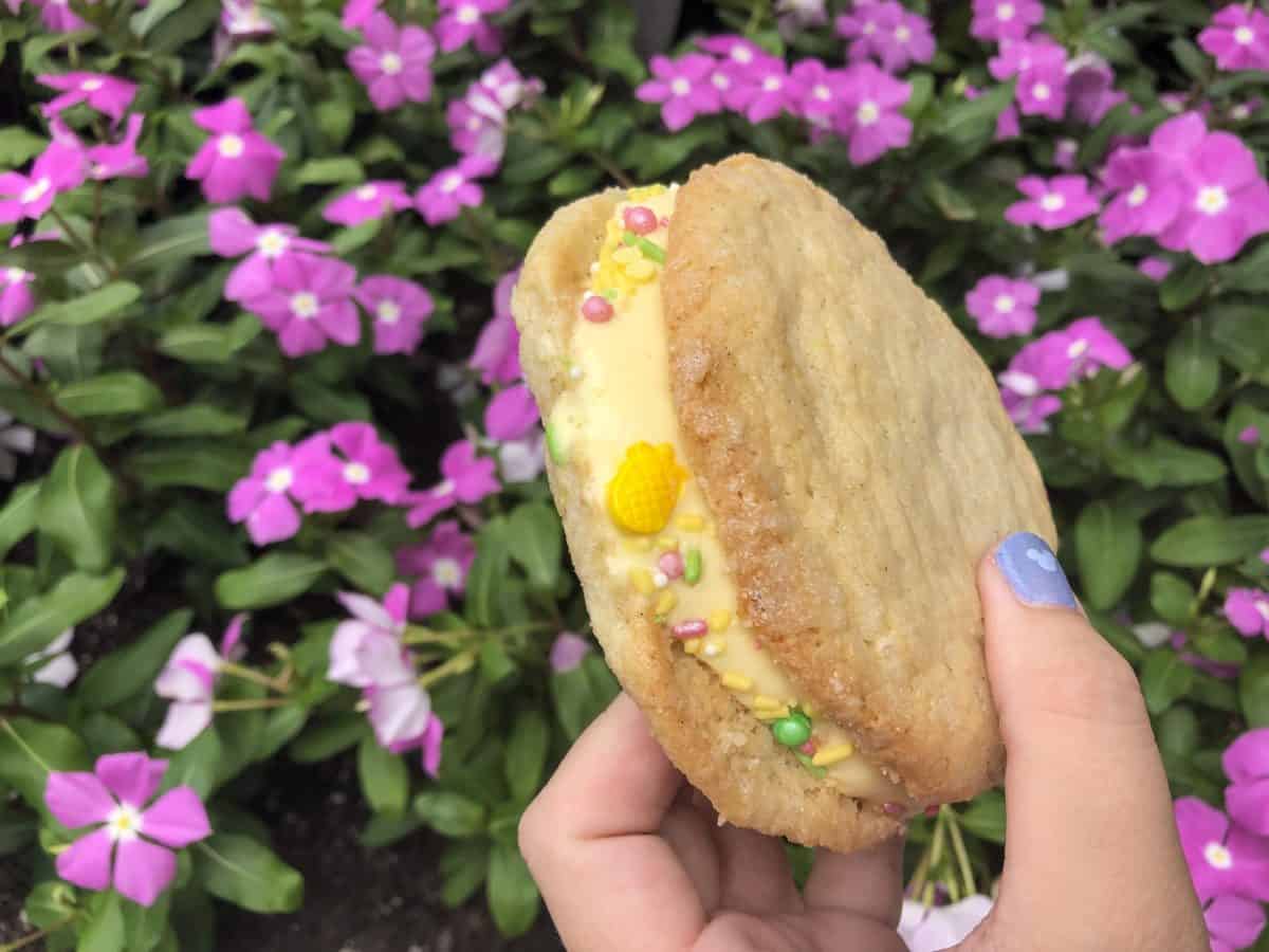 sugar cookie ice cream sandwich with pineapple shaped sprinkles