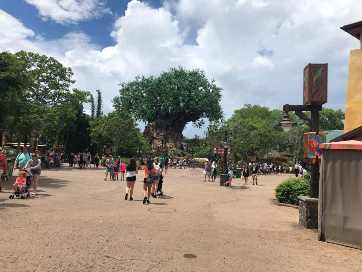Tree of Life and very little crowds