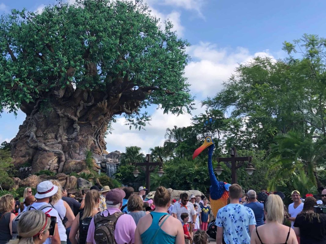 Tree of Life with Kevin