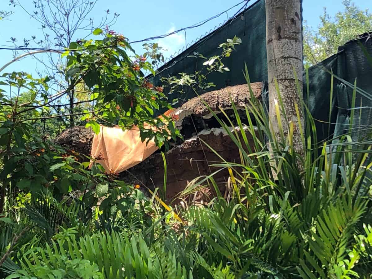 Club 33 construction June 23 DAK