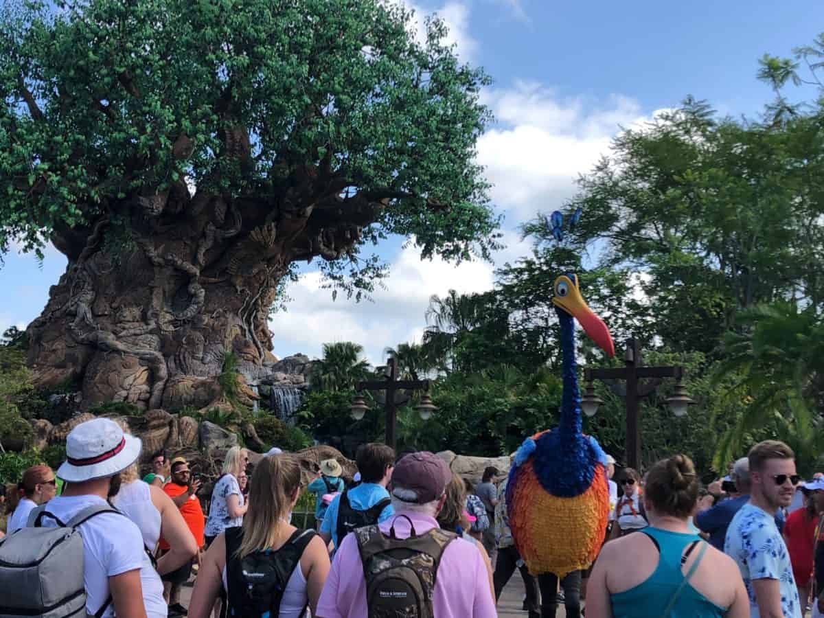 Tree of Life with Kevin from Up