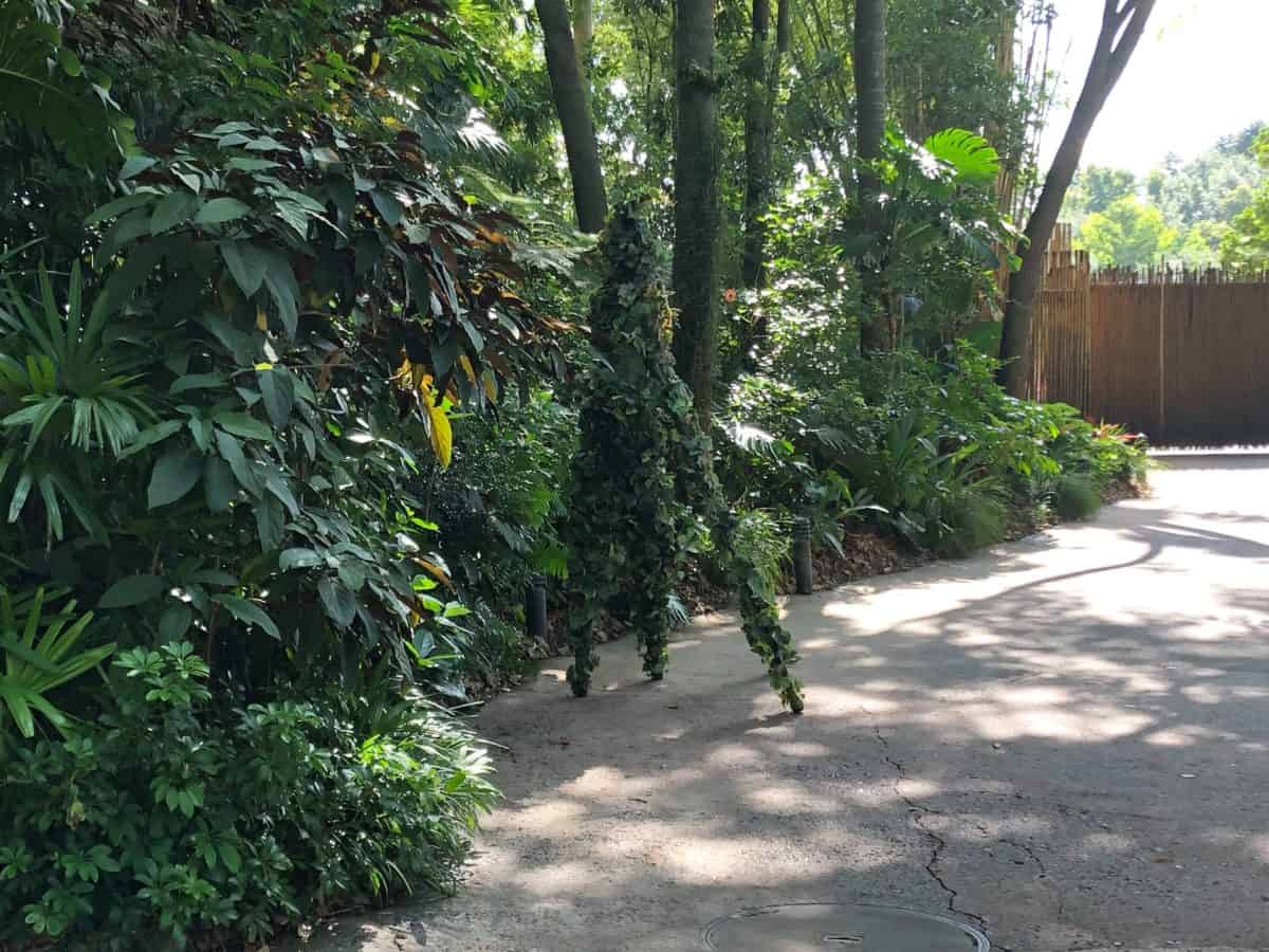 Divine at Animal Kingdom