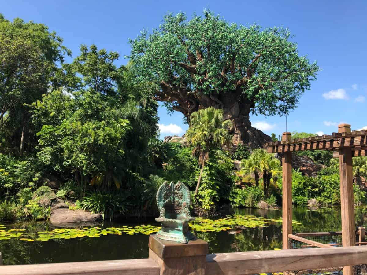Tree of Life