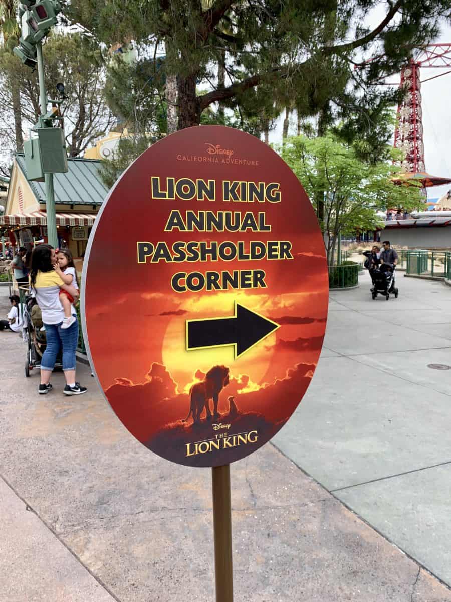 Annual Passholder Magnet and Souvenir Ocarina Sipper Lion AP Corner Disney California Adventure