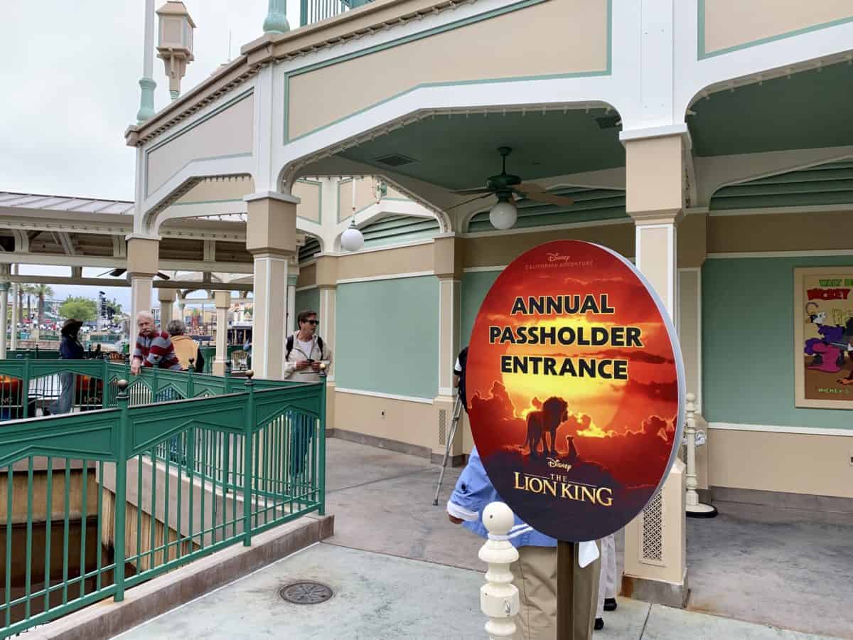 Annual Passholder Magnet and Souvenir Ocarina Sipper Lion AP Corner Disney California Adventure