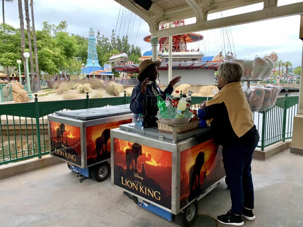 Annual Passholder Magnet and Souvenir Ocarina Sipper Lion AP Corner Disney California Adventure